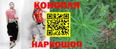 мяу мяу мука Нальчик