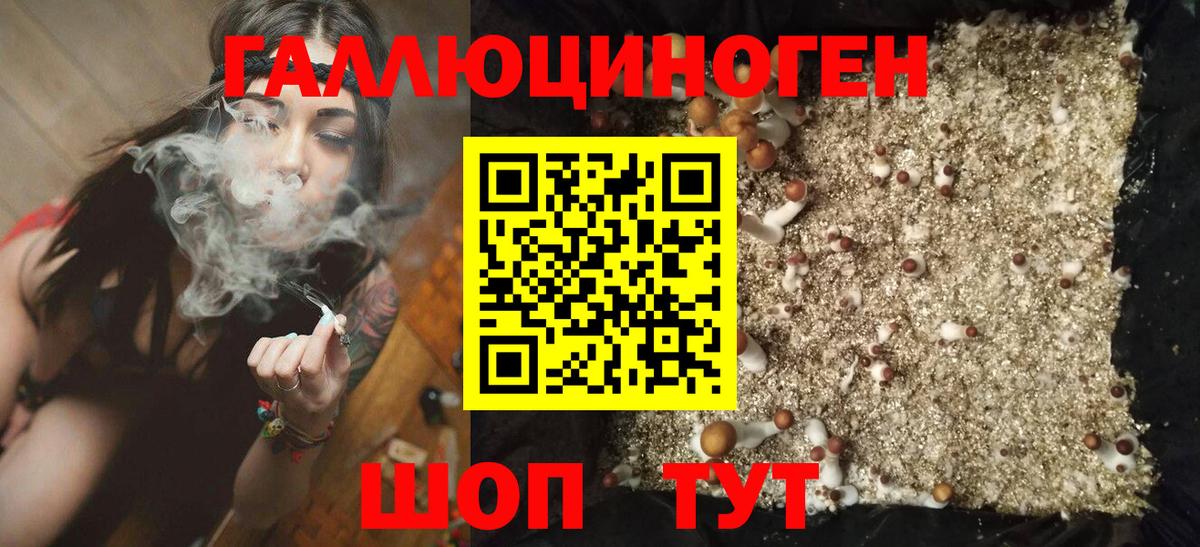 Псилоцибиновые грибы GOLDEN TEACHER  Вход с VPN  Шадринск 